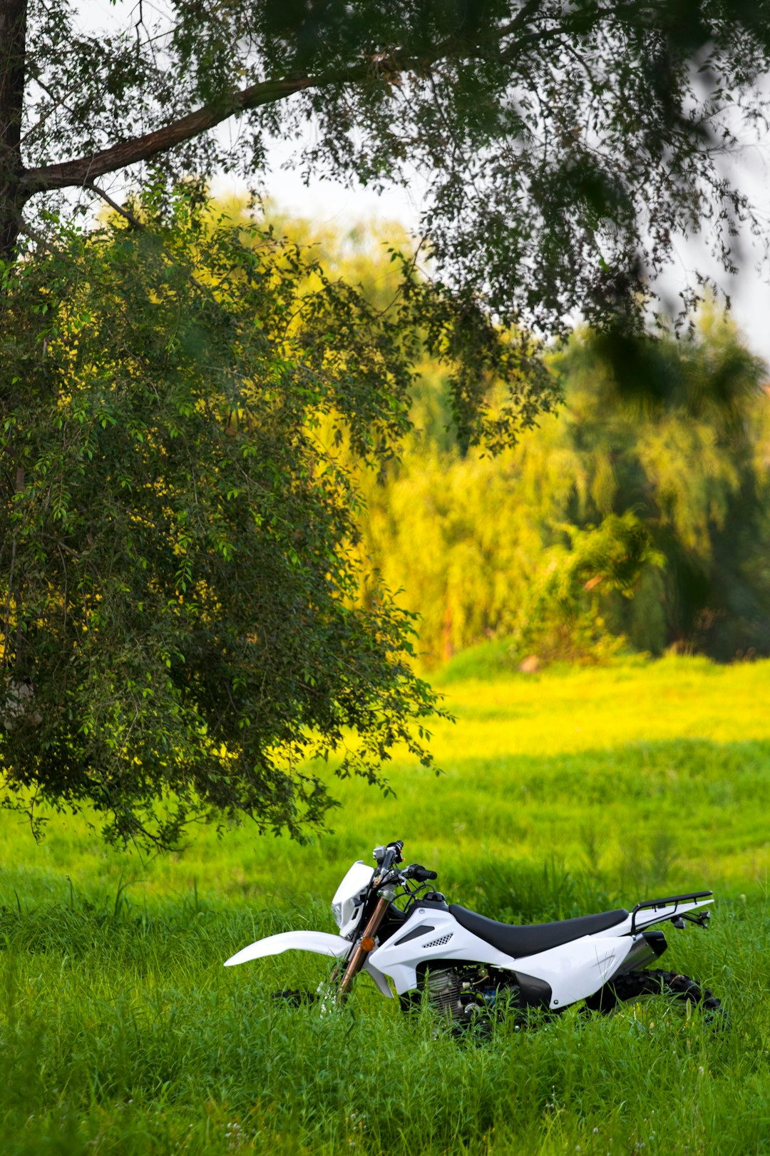 a-motorcycle-parked-in-a-grassy-area-bwqstsdk8uq